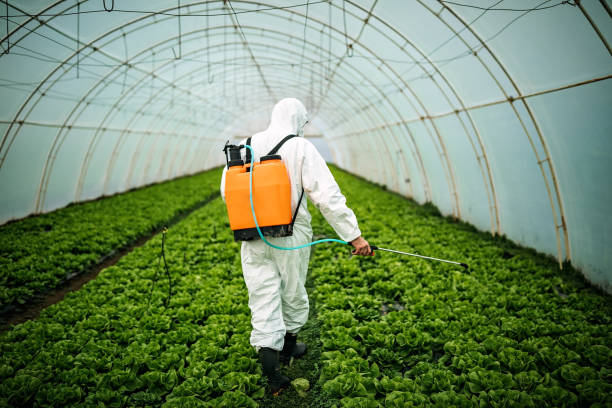 Best Exterminator Services  in Fort Thompson, SD