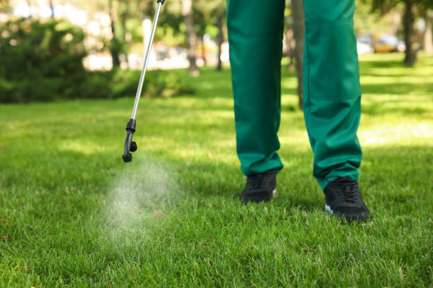 Best Pest Inspection Near Me  in Fort Thompson, SD
