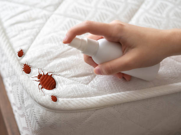 Best Residential Pest Control  in Fort Thompson, SD