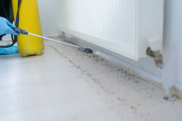 Best Best Pest Control Companies  in Fort Thompson, SD