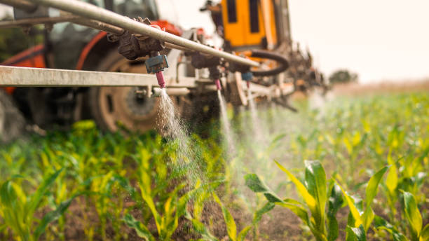 Best Pest Removal Services  in Fort Thompson, SD